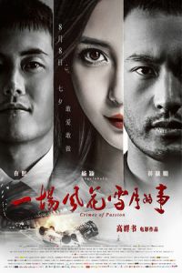 Crimes of Passion (Yi Chang Feng Hua Xue Yue De Shi) (2013)