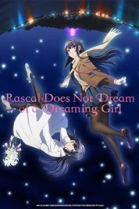 Rascal Does Not Dream of a Dreaming Girl (Seishun Buta Yaro wa Yumemiru Shoujo no Yume wo Minai) (2019)